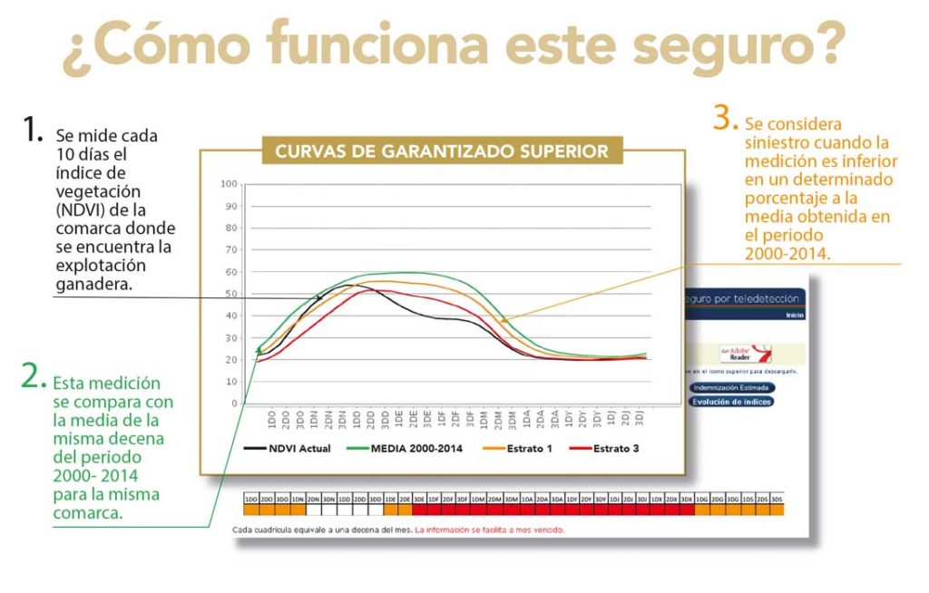 Cuadro del Seguro de compensación de pastos