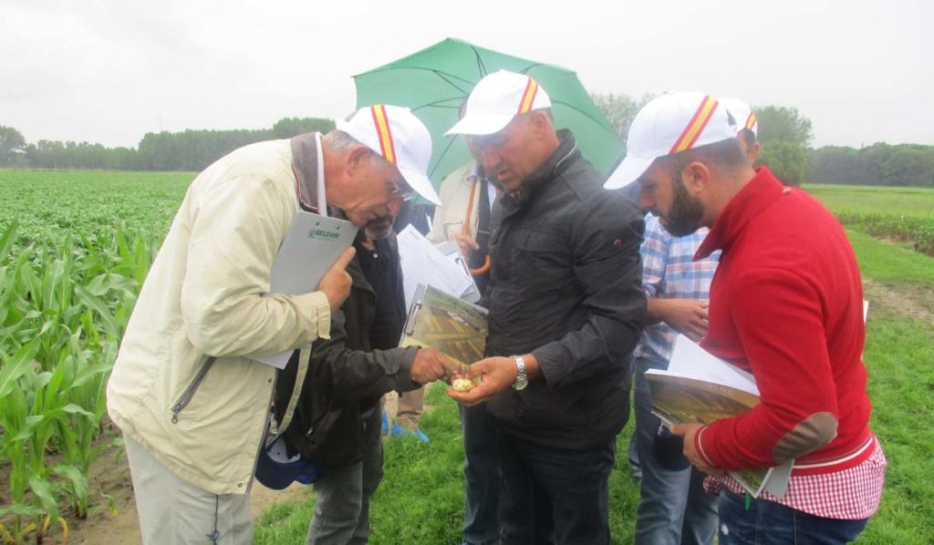 Agricultores españoles durante su visita a los Trial Field Days de Belchim 