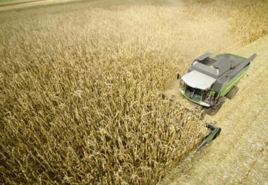 Nuevo cabezal de maíz para cosechadoras de cereales Fendt