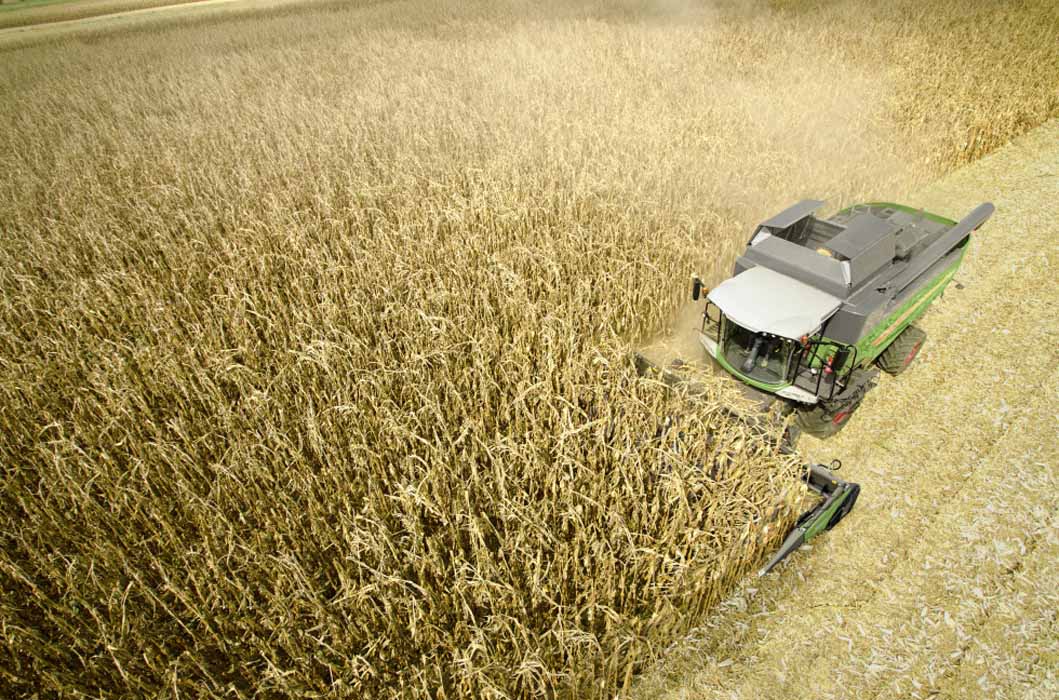 Nuevo cabezal de maíz para cosechadoras de cereales Fendt