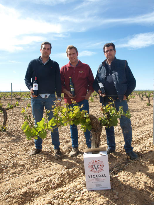 Bodega Vicente Sanz apuesta por crecer