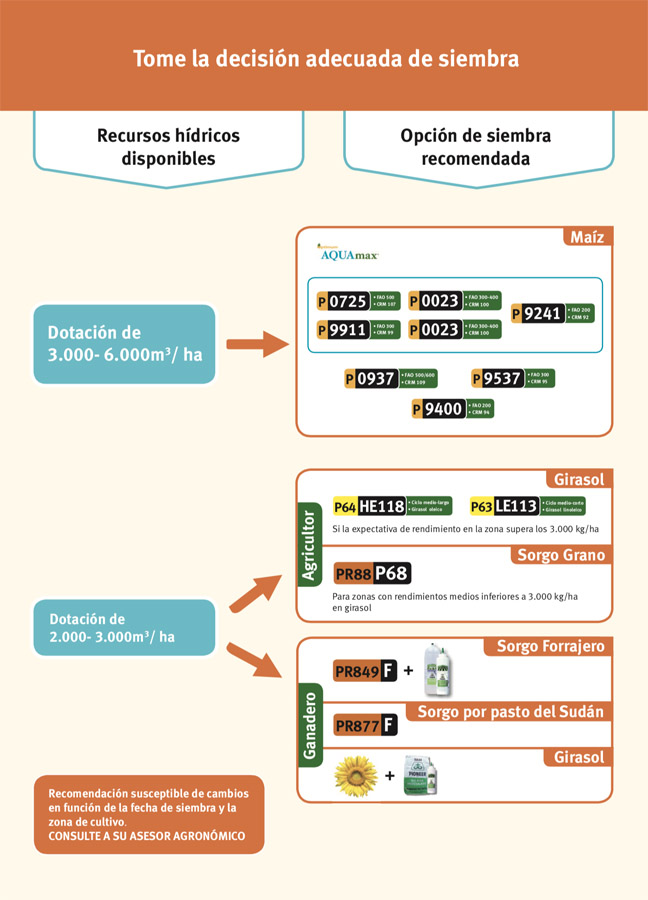 Gráfico Plan P OK