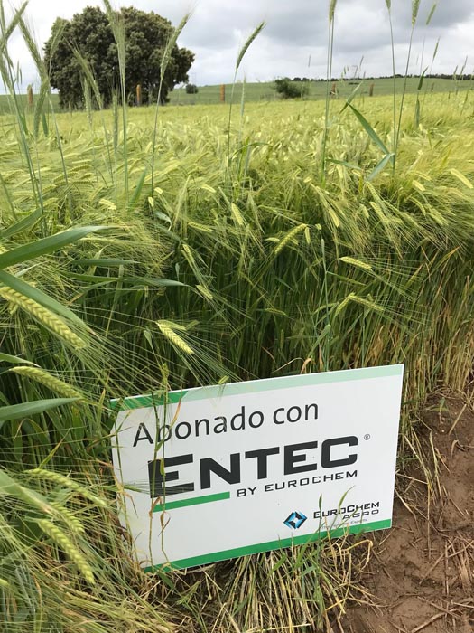 Los abonos ENTEC