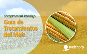 Un nuevo catálogo de Tradecorp recoge todos los tratamientos para el maíz