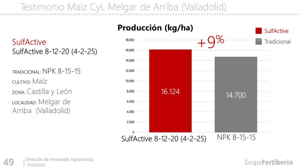 Testimonio maíz Melgar de Arriba (Valladolid).