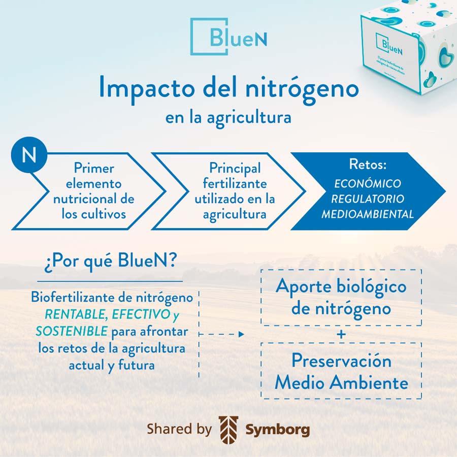 infografia blueN