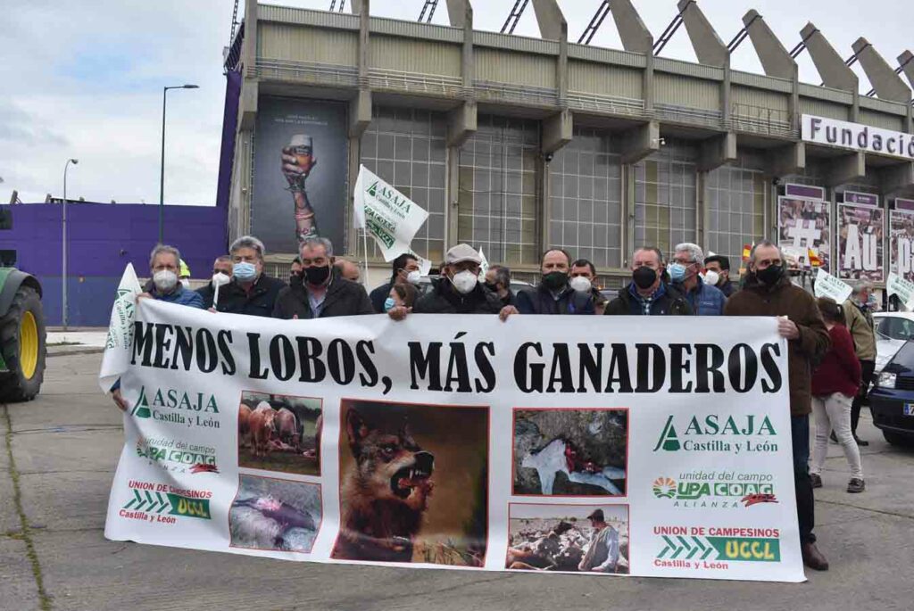 Concentración contra el lobo en Valladolid