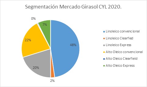 grafico girasol syngenta.JPEG