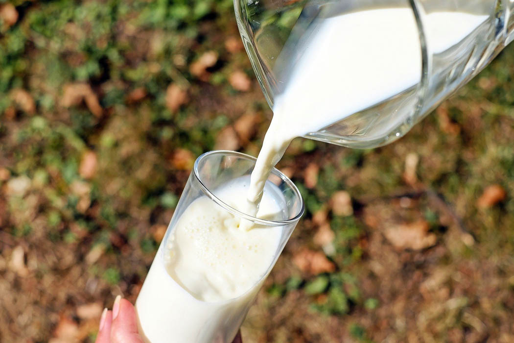 COAG ASAJA y UPA denuncian la compra de leche por la industria por debajo de los costes de producción