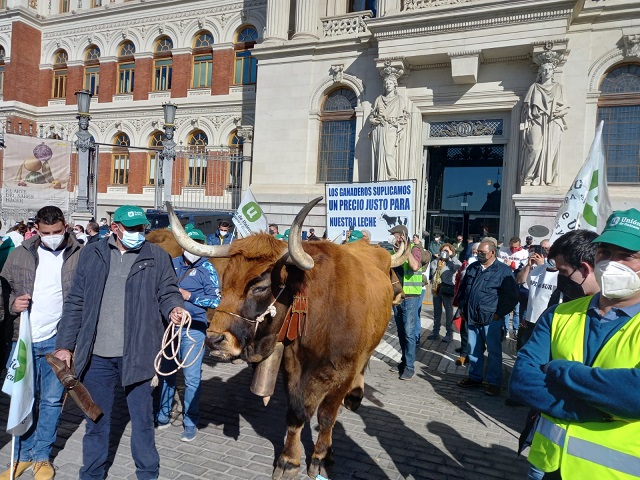 El sector lácteo reclama en Madrid contundencia contra los abusos de industria y distribución