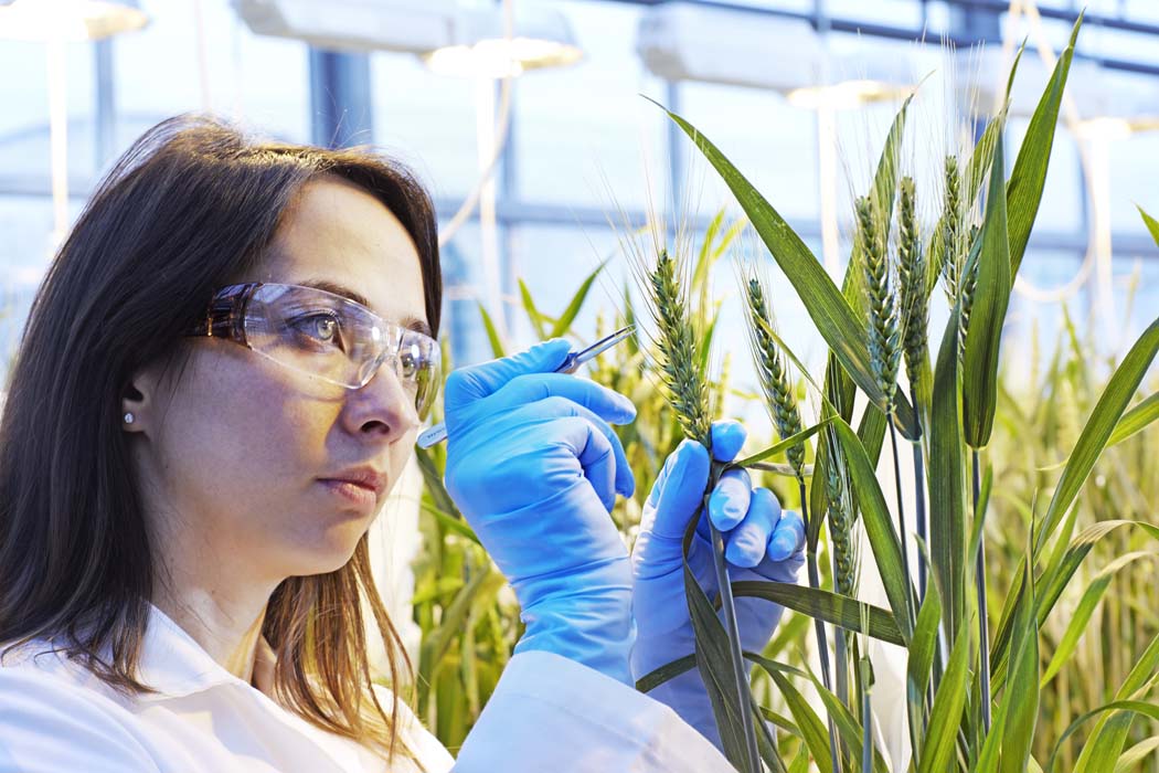 BASF presenta su próxima cartera de innovaciones para la agricultura