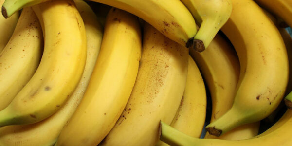El Plan 2021 del seguro de plátano se cierra con 12 millones de euros en indemnizaciones