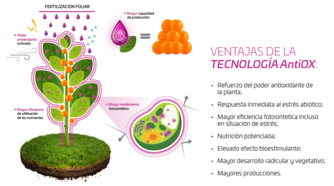 ¿Qué es la tecnología AntiOX de los fertilizantes foliares TECNIFOL