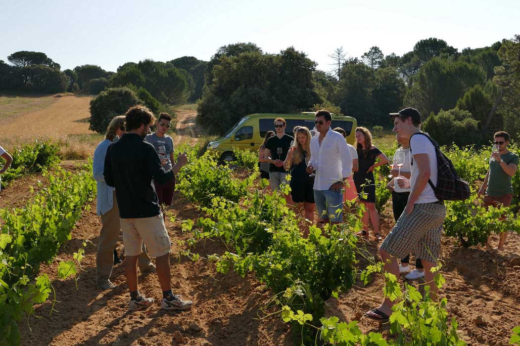 Campamento de verano Ribera del Duero