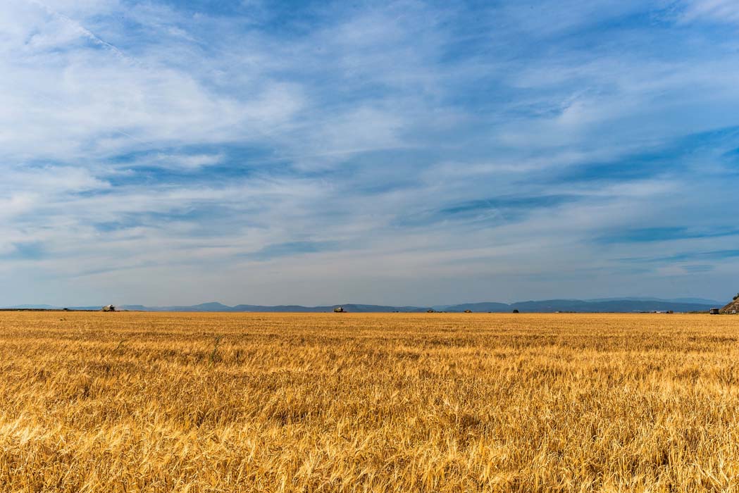 Las indemnizaciones del seguro agrario en 2016 rozaron los 468 millones de euros