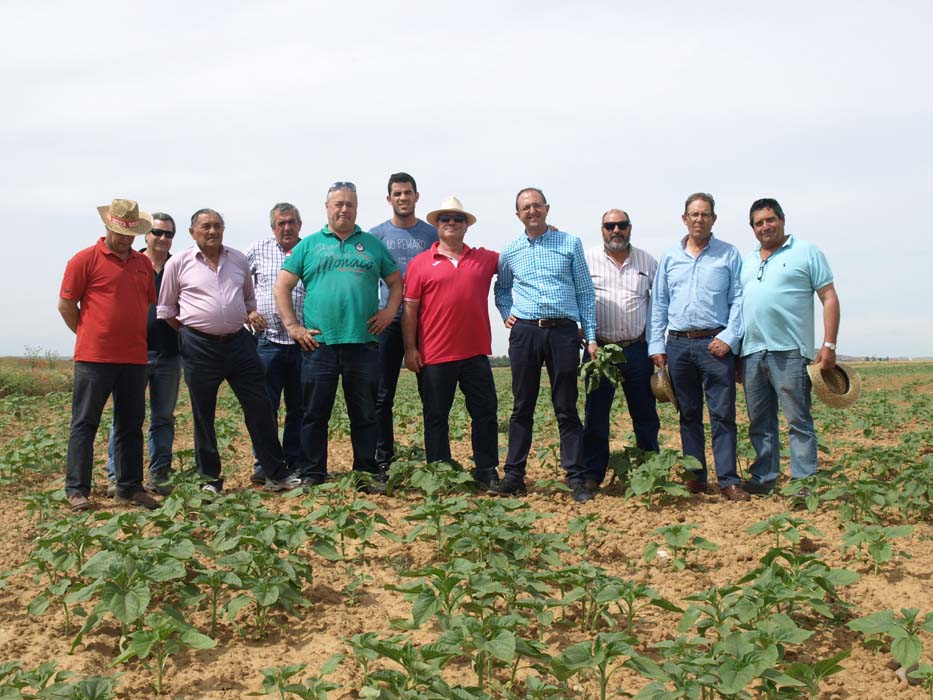 Visita a campos abonados con CHAMAE en Valladolid