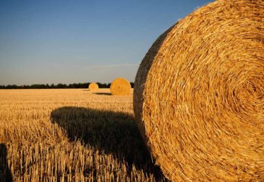 El Gobierno incrementa en 41,8 millones de euros el gasto en seguros agrarios
