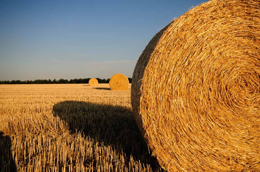 El Gobierno incrementa en 41,8 millones de euros el gasto en seguros agrarios