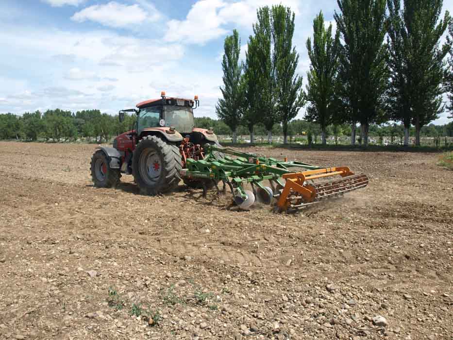 Líneas de ayuda del Programa de Desarrollo Rural