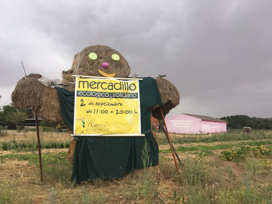 Mercadillo ecologico y Solidario INEA