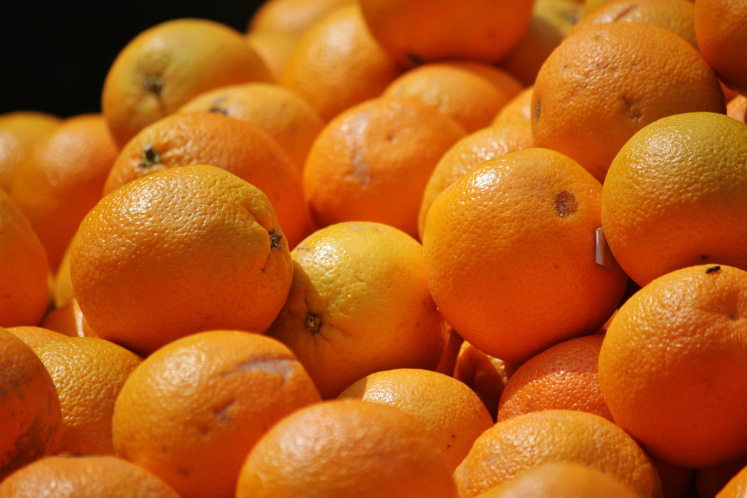 Nuevas concesiones a sudafrica amenazan a la naranja espanola