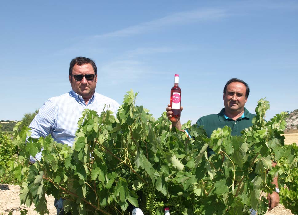 Pablo y Carlos González López, Gerentes de Vinos Mucy