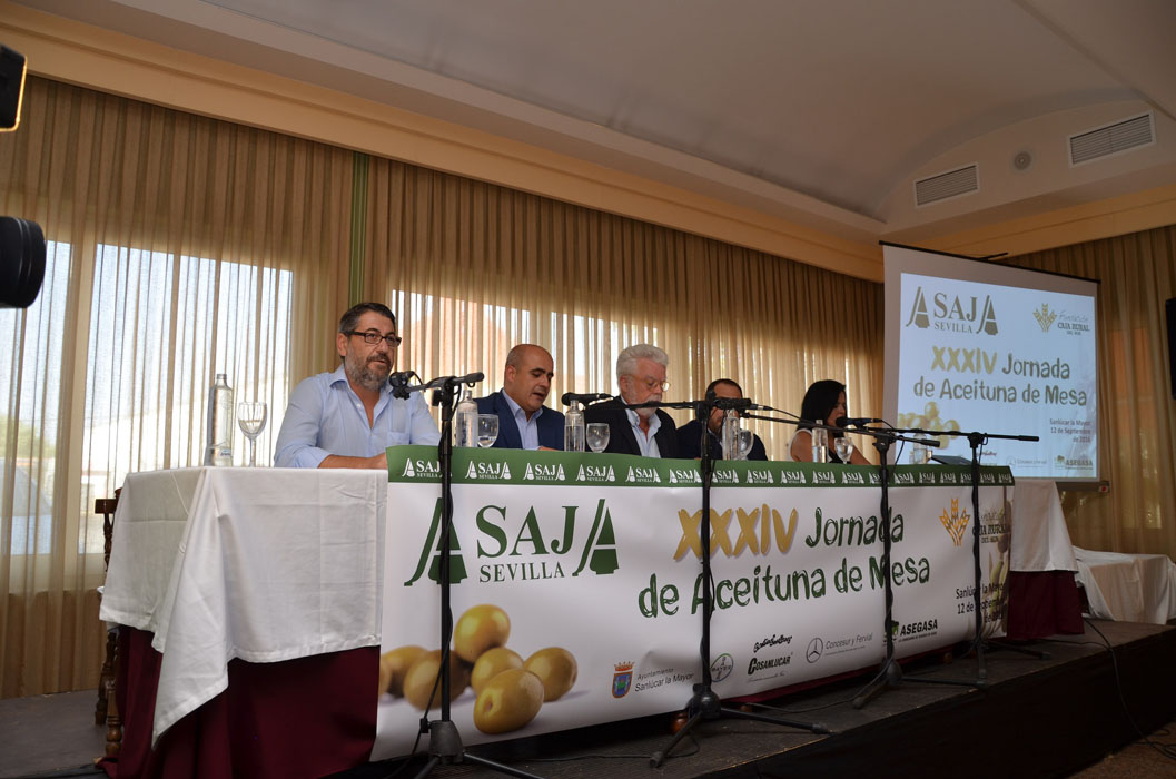 XXXIV Jornada de Aceituna de Mesa