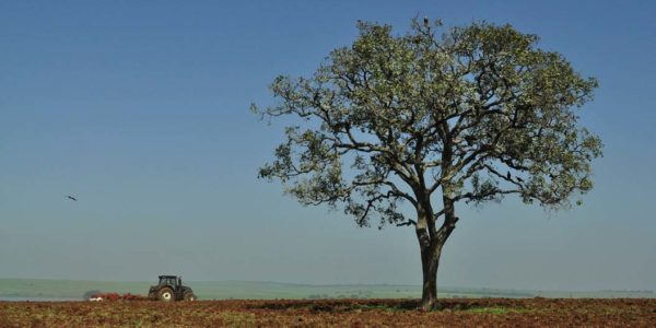 Extremadura, nueva comunidad que firma un convenio con Agroseguro