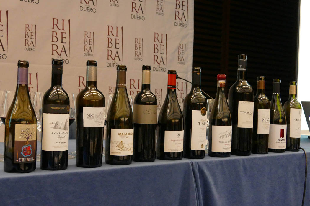 I Becas Ribera del Duero