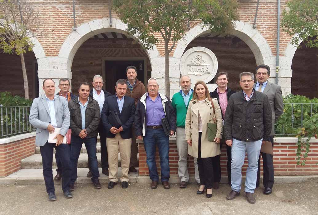 Pleno CRDO Rueda 2016