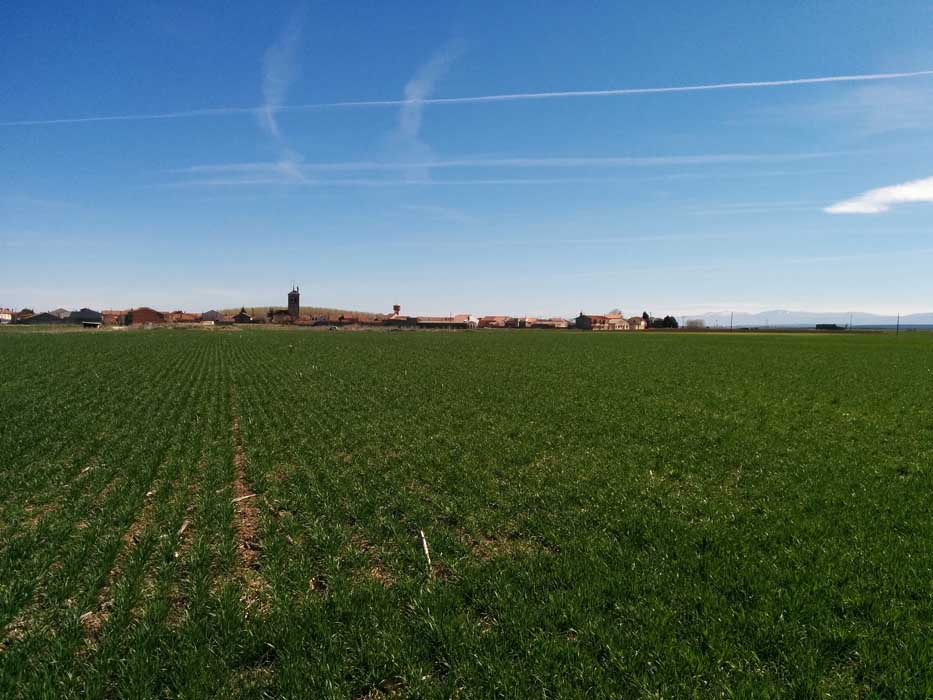 La Junta inicia la andadura del Banco de Tierras de Castilla León