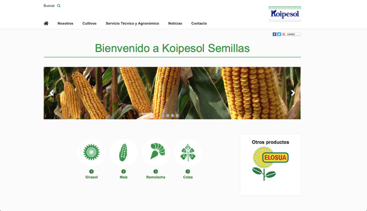 NUEVA WEB KOIPESOL