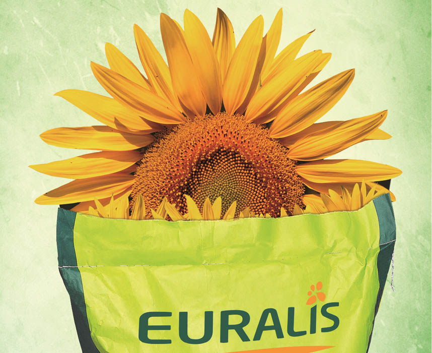 Euralis presenta su nuevo catálogo Multi-Cultivo 2017