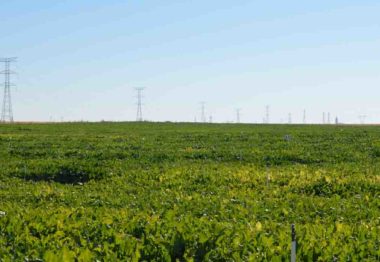 La transformación del modelo energético en el regadío