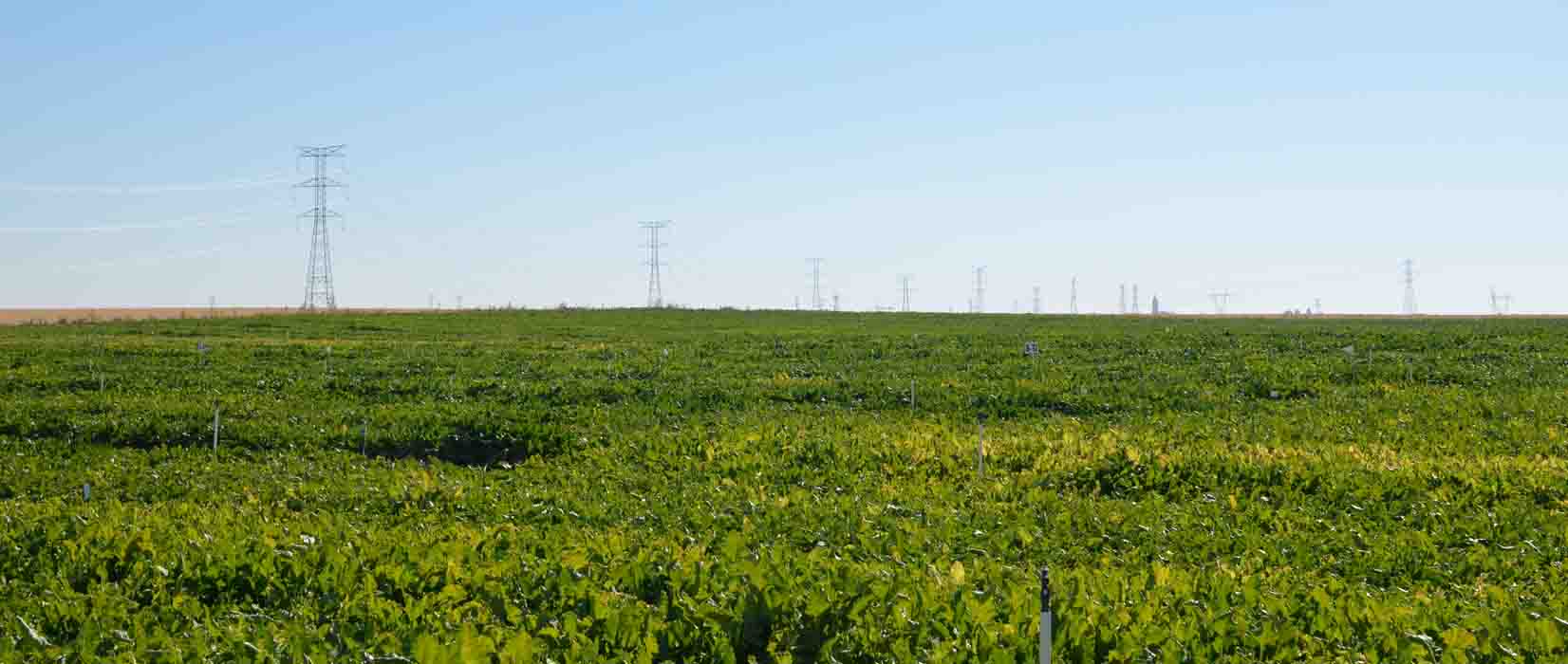 La transformación del modelo energético en el regadío