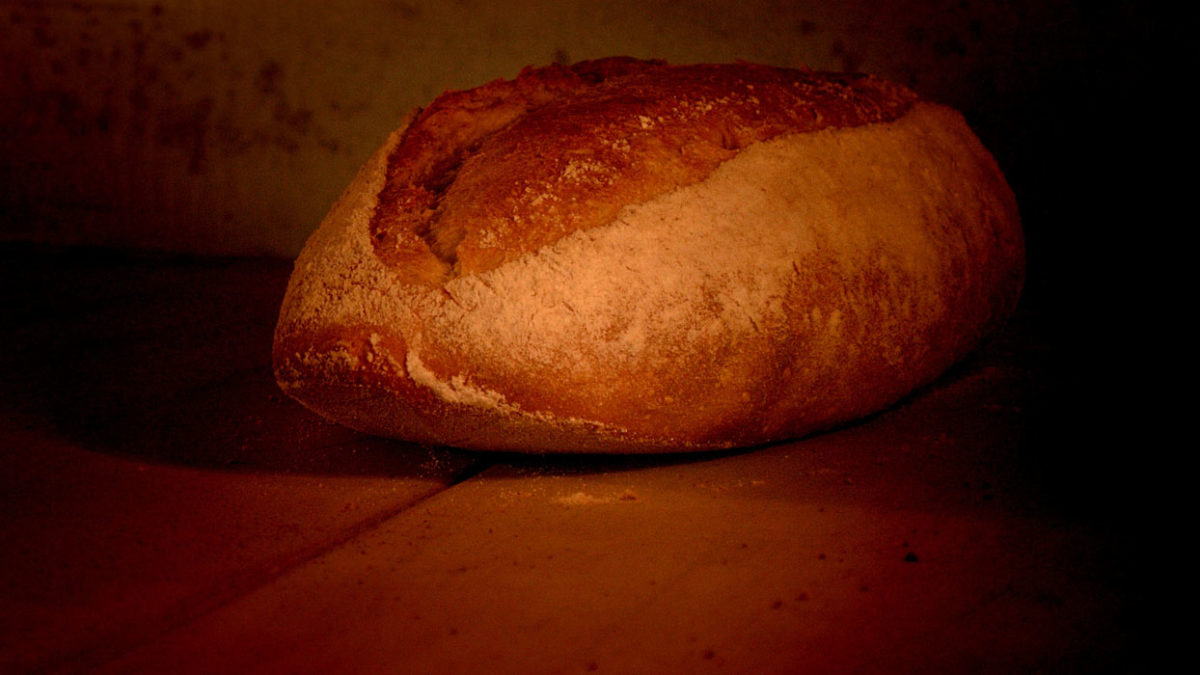 Pan de Tritordeum