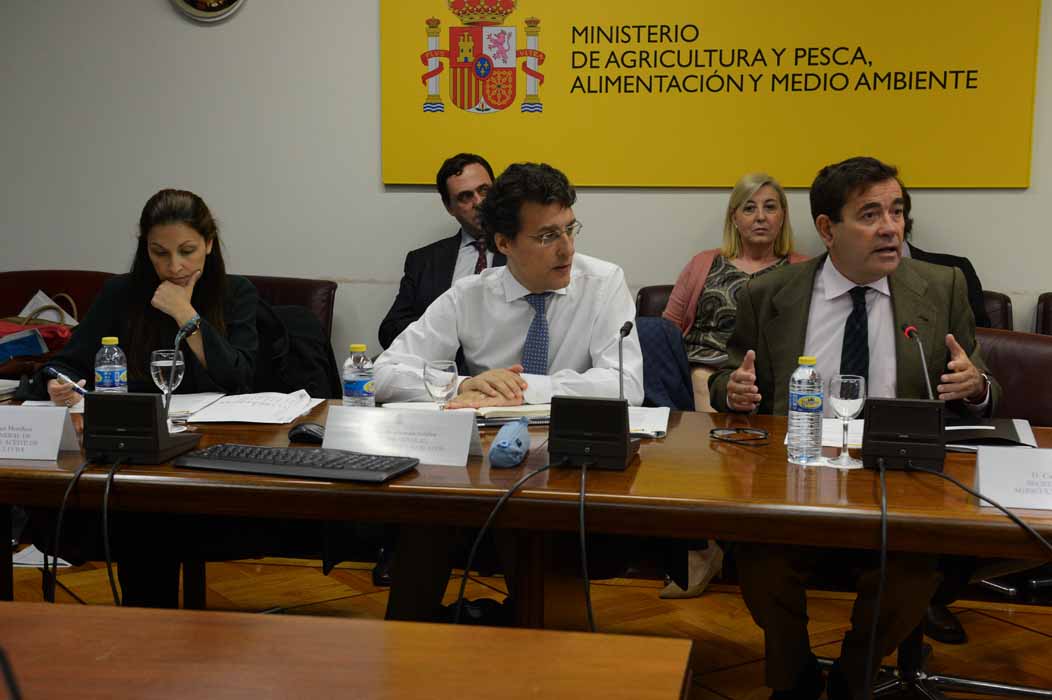 Presentada la propuesta de Apoyo al Sector Vitivinícola 2019-23