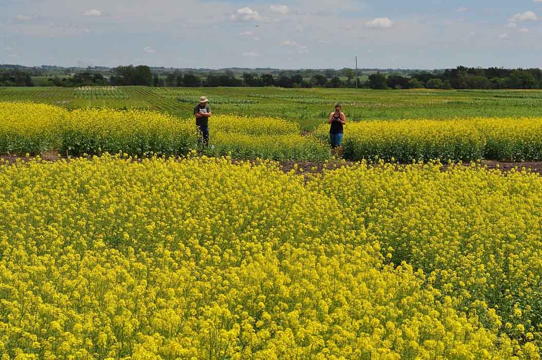 Convocadas subvenciones para promover la afiliación de las mujeres del medio rural