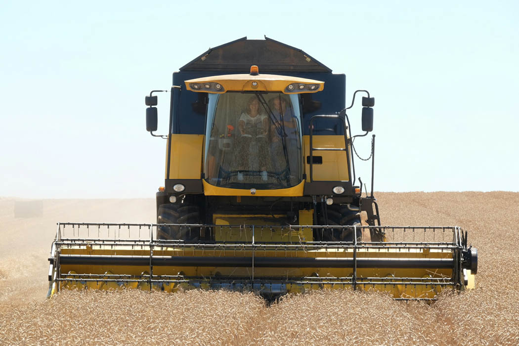 La cosecha de cereal en Castilla y León alcanza 2.6 millones