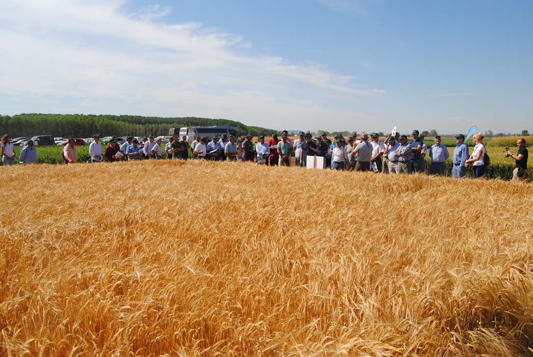 VI Jornadas de Campo ENTEC 2017 en el ITACyl