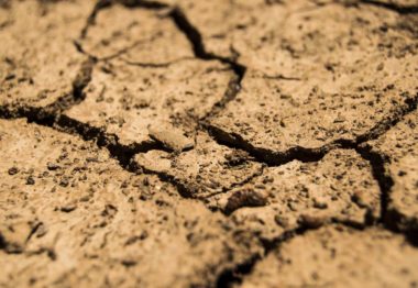 Asaja Valladolid y UCCL se movilizarán para pedir más medidas contra la sequía
