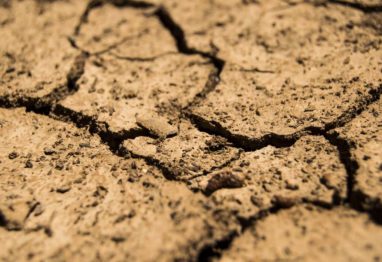 Asaja Valladolid y UCCL se movilizarán para pedir más medidas contra la sequía
