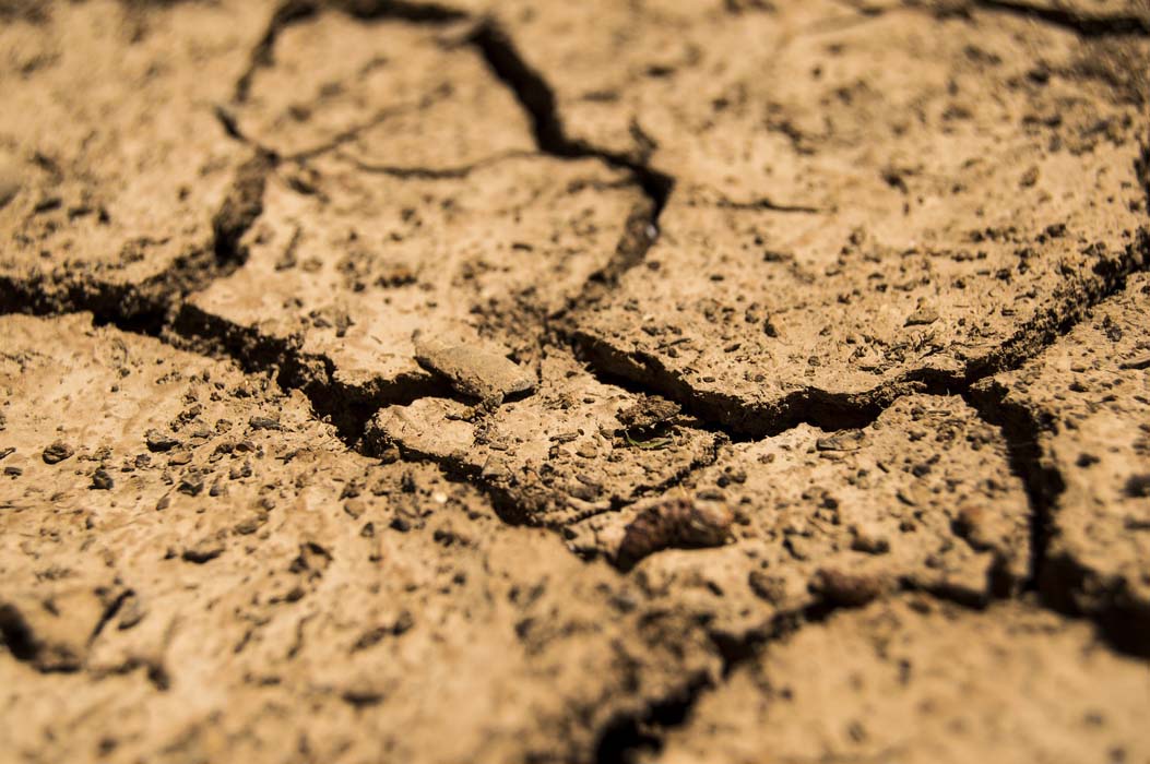 Asaja Valladolid y UCCL se movilizarán para pedir más medidas contra la sequía