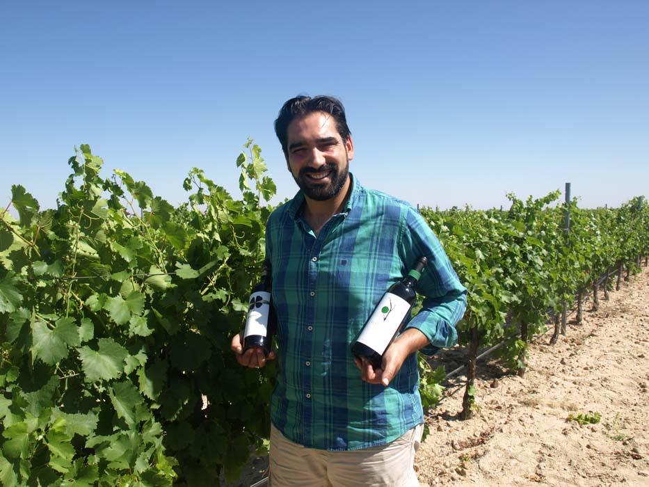 Entrevista a Emilio Pita Gil, gerente de Bodegas Verderrubí