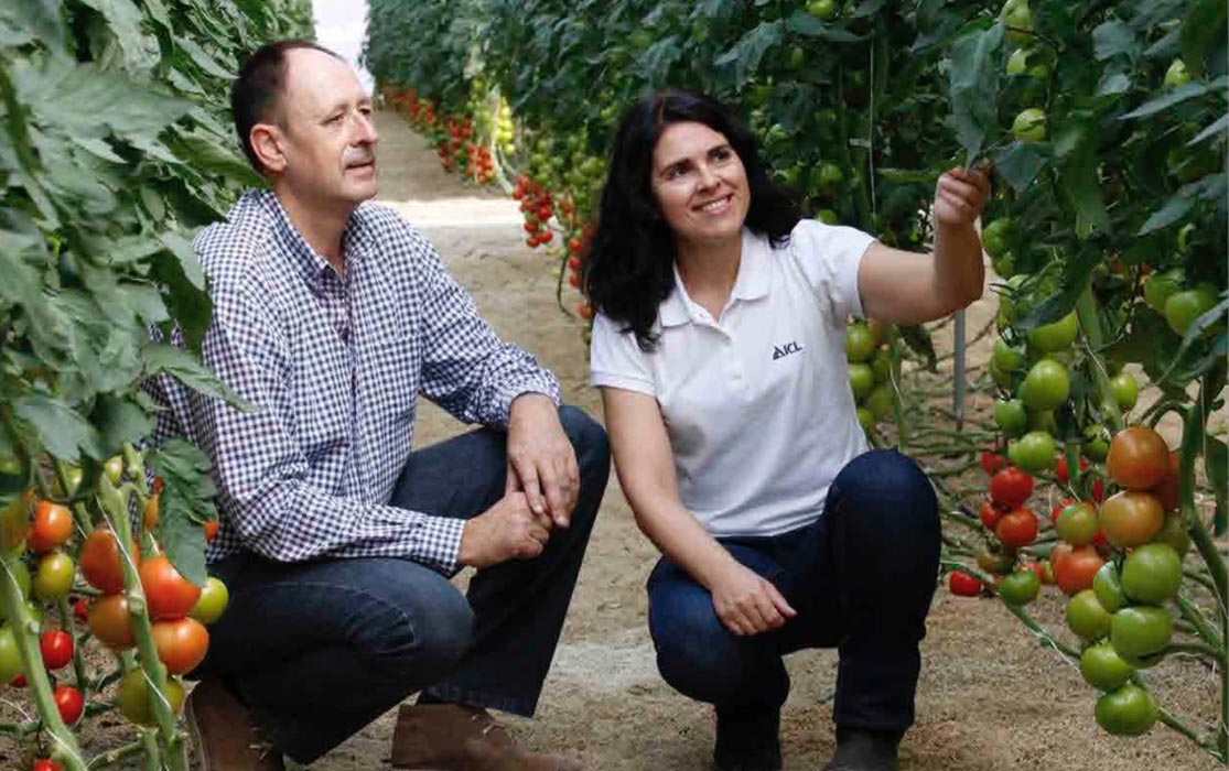 ICL Specialty Fertilizers lanza su nuevo catálogo con soluciones para una nutrición precisa