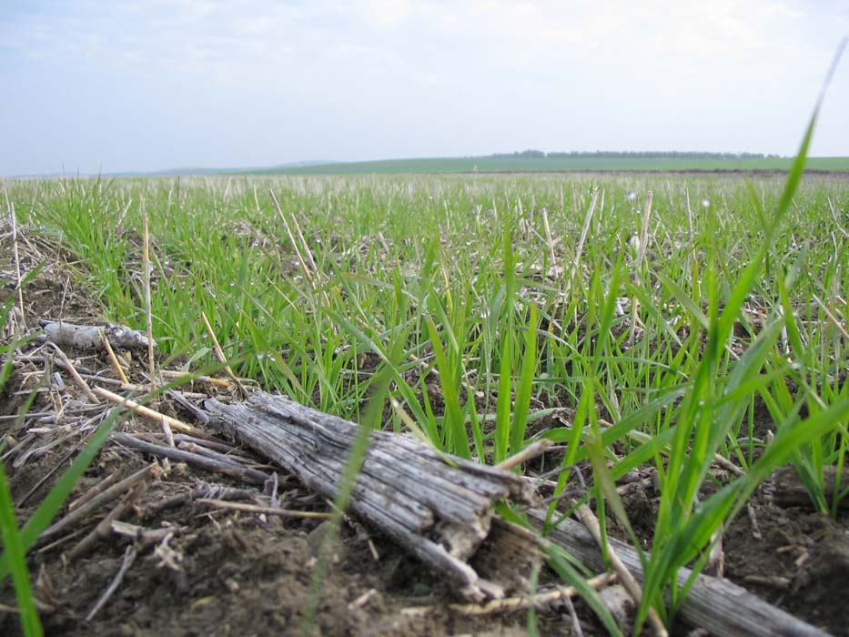 Europa premia el proyecto “LIFE+Agricarbon” por su lucha contra el Cambio Climático