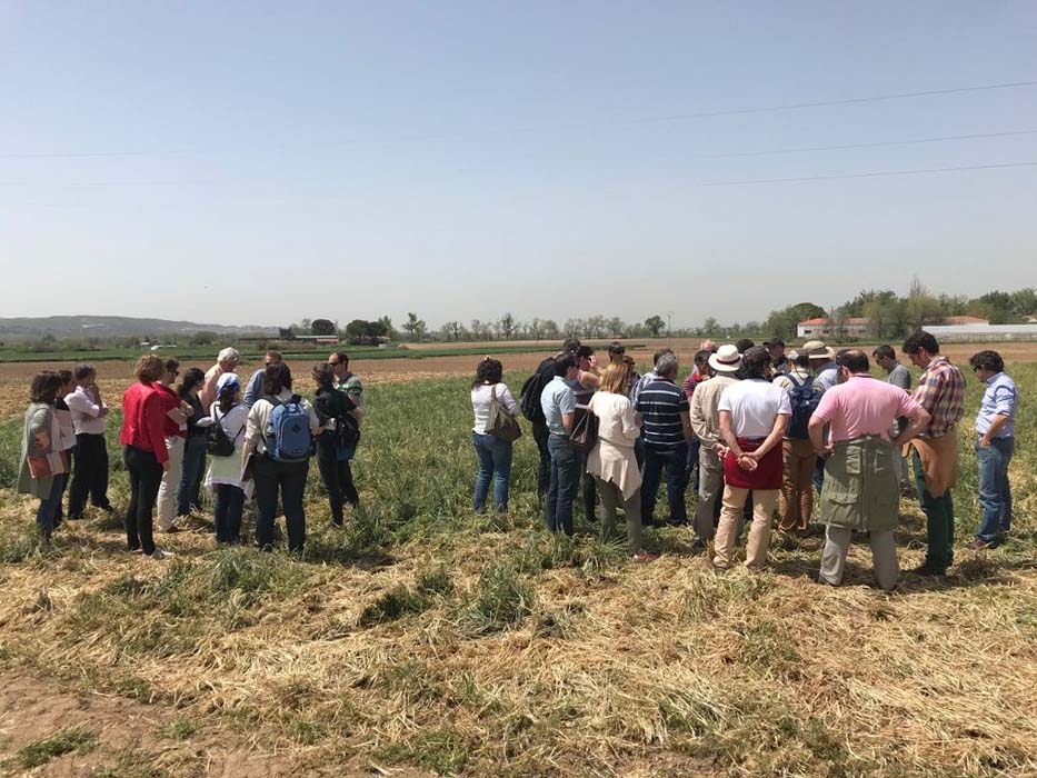 ICL Specialty Fertilizers participa en la reunión de la Red de Uso Eficiente del Nitrógeno