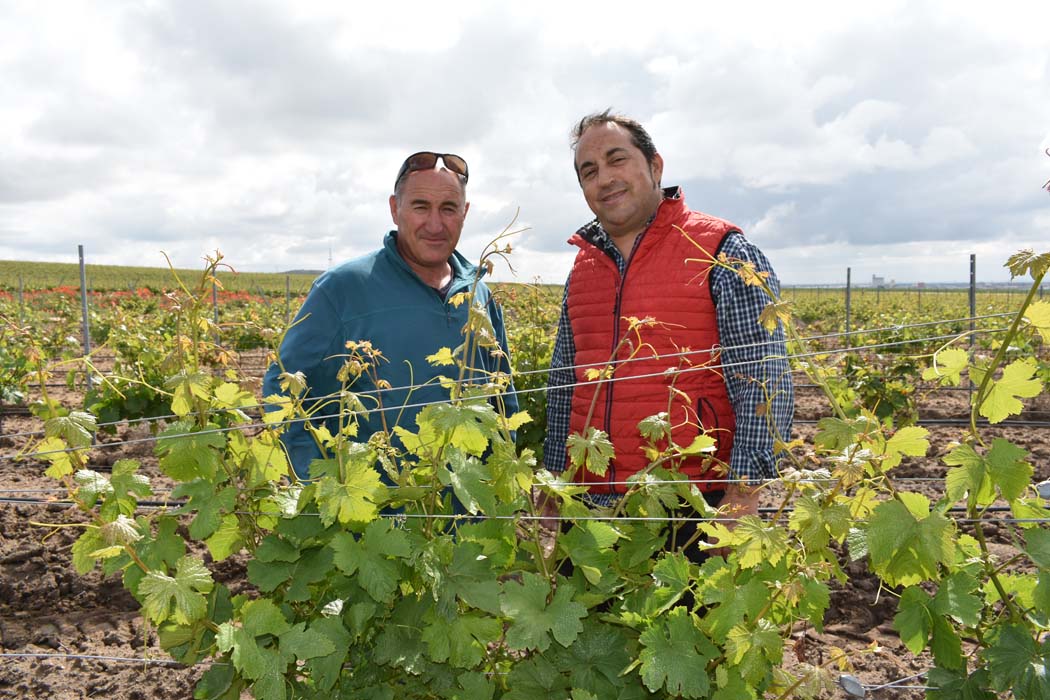 Rueda se apunta a la nutrición a la carta de BMS Micro-Nutrients