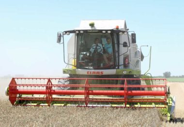 La cosecha de cereal 2018 en Castilla y León superará los 7 millones de toneladas