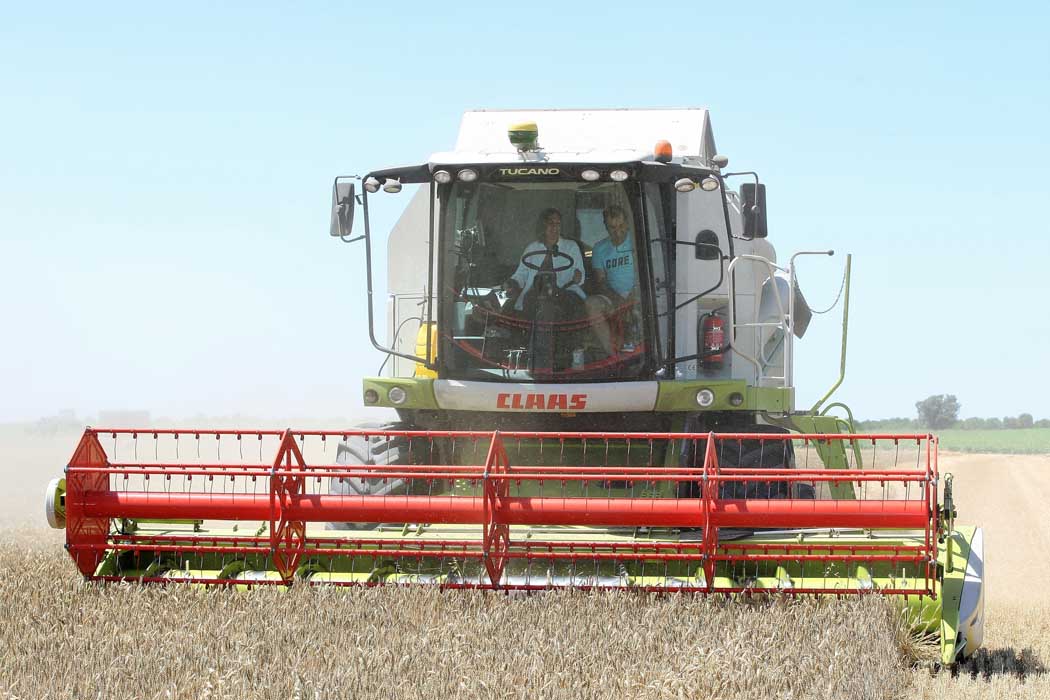 La cosecha de cereal 2018 en Castilla y León superará los 7 millones de toneladas